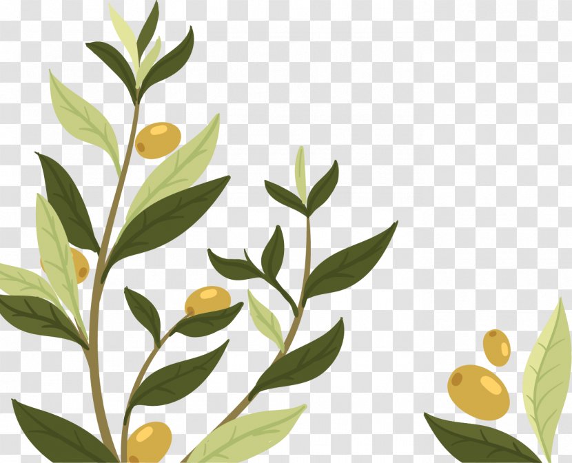 Wedding Invitation Olive Leaf Branch - Tree - Natural Plant Transparent PNG