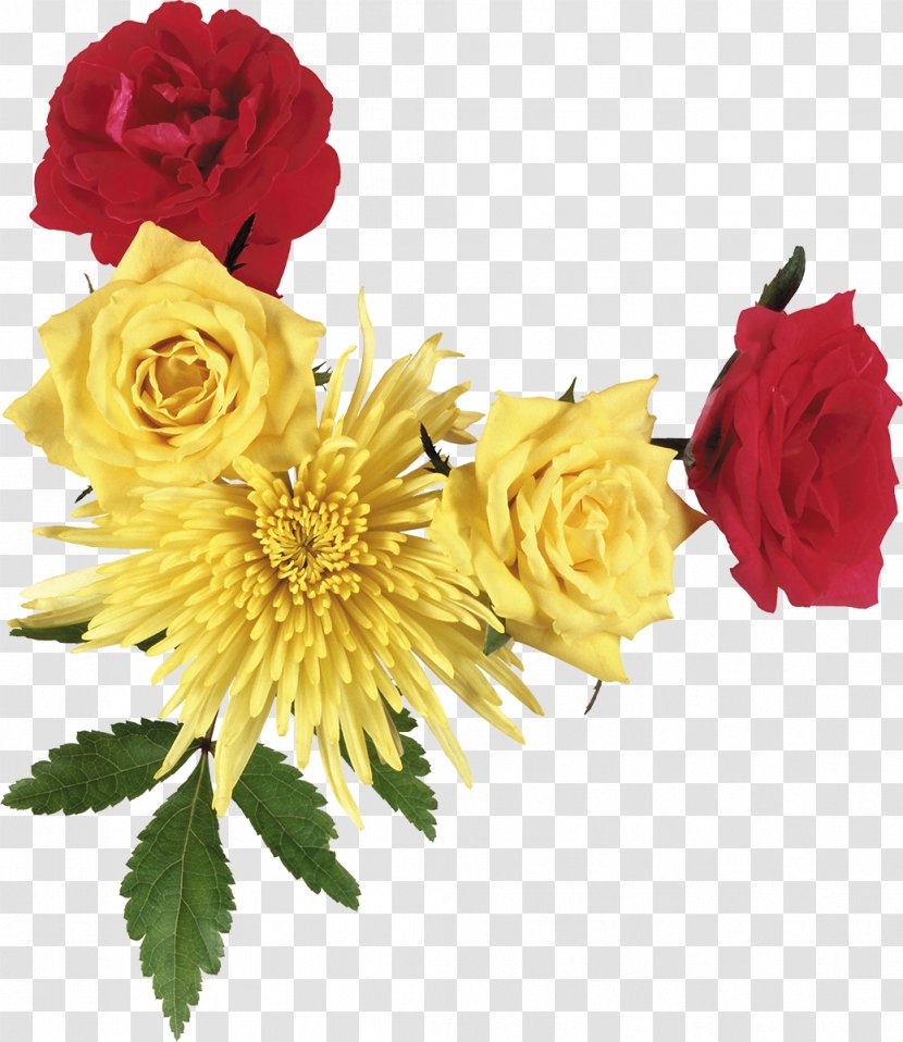 Flower Photography Clip Art - Rose - Chrysanthemum Transparent PNG