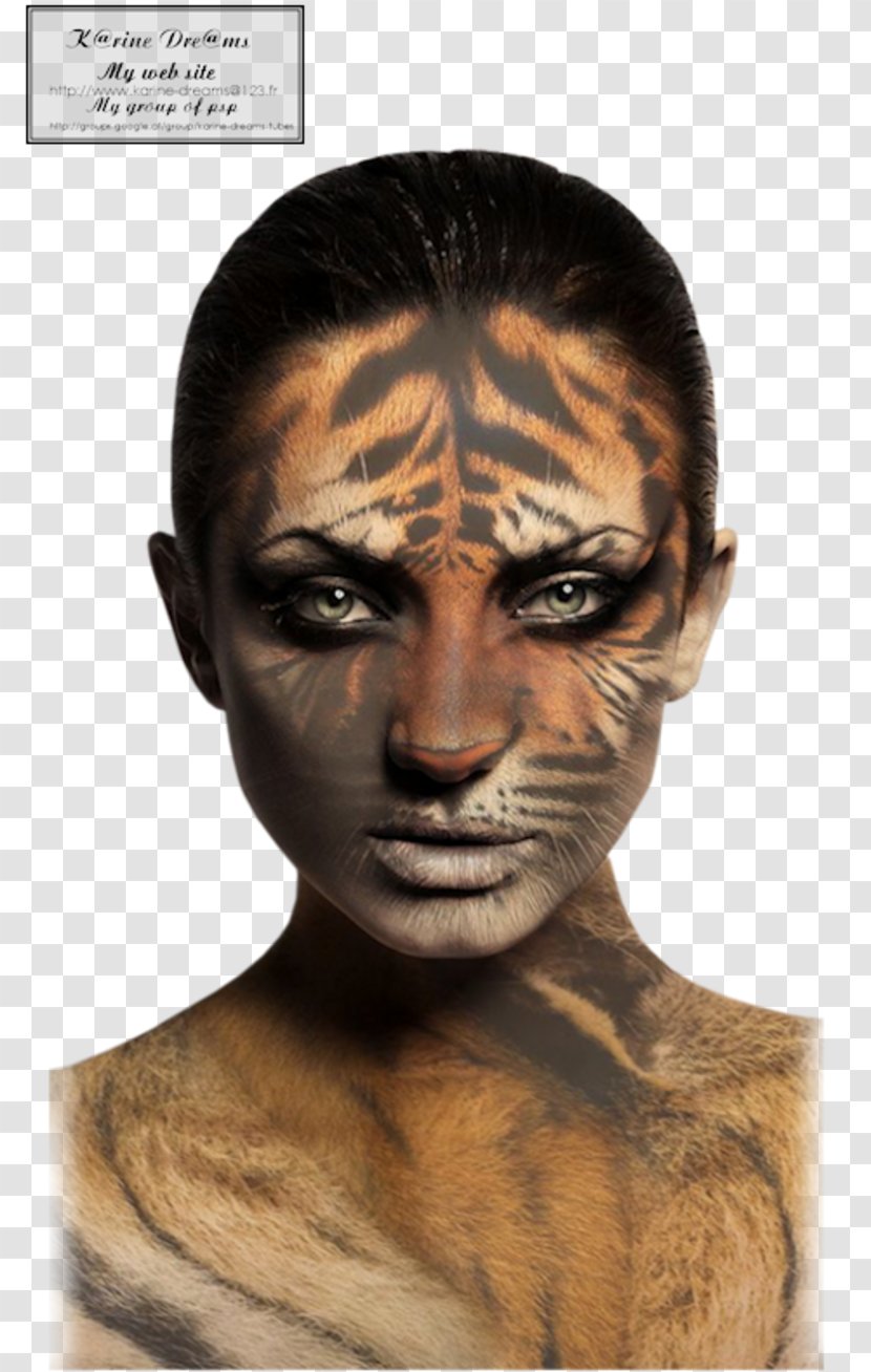 Tiger Stock Photography Woman - Royalty Payment Transparent PNG