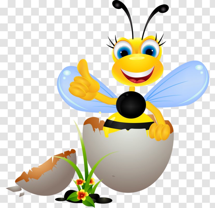 Honey Bee Insect Clip Art - Ladybird Transparent PNG