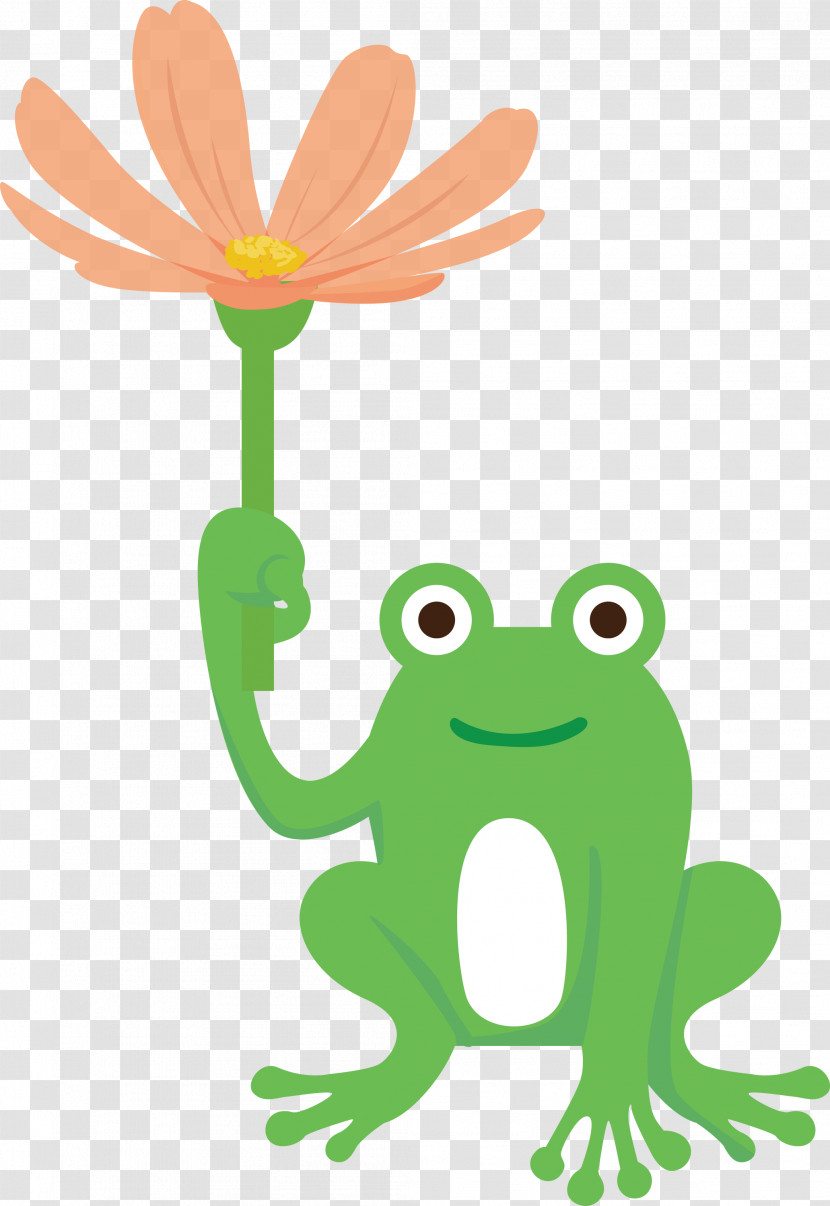 Tree Frog Frogs Leaf Plant Stem Cartoon Transparent PNG