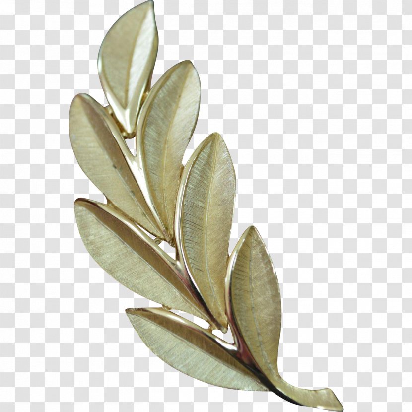 Leaf - Plant Transparent PNG