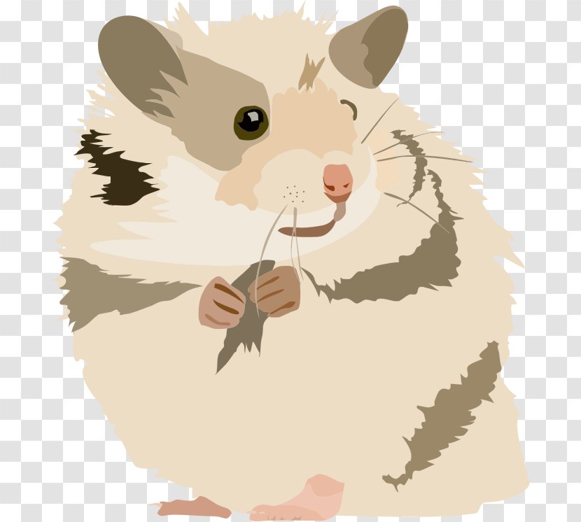 Golden Hamster Gerbil Rodent Mouse Transparent PNG