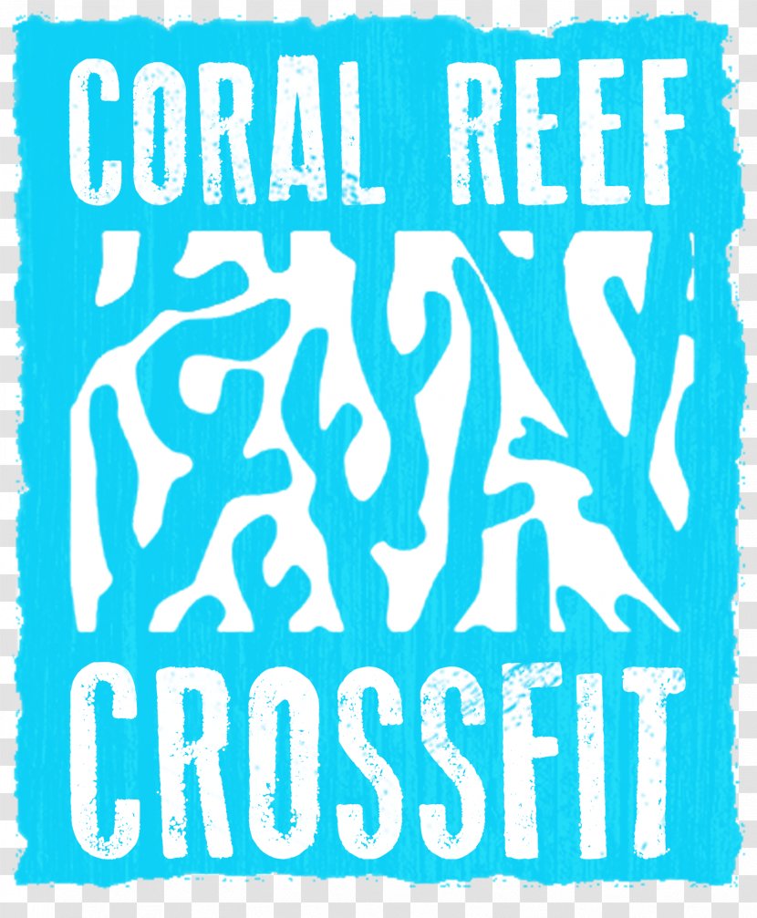 Stand UP Foundation Coral Reef CrossFit Wild Dolphin Project Palm Beach Exhibition Designer - Jupiter Transparent PNG