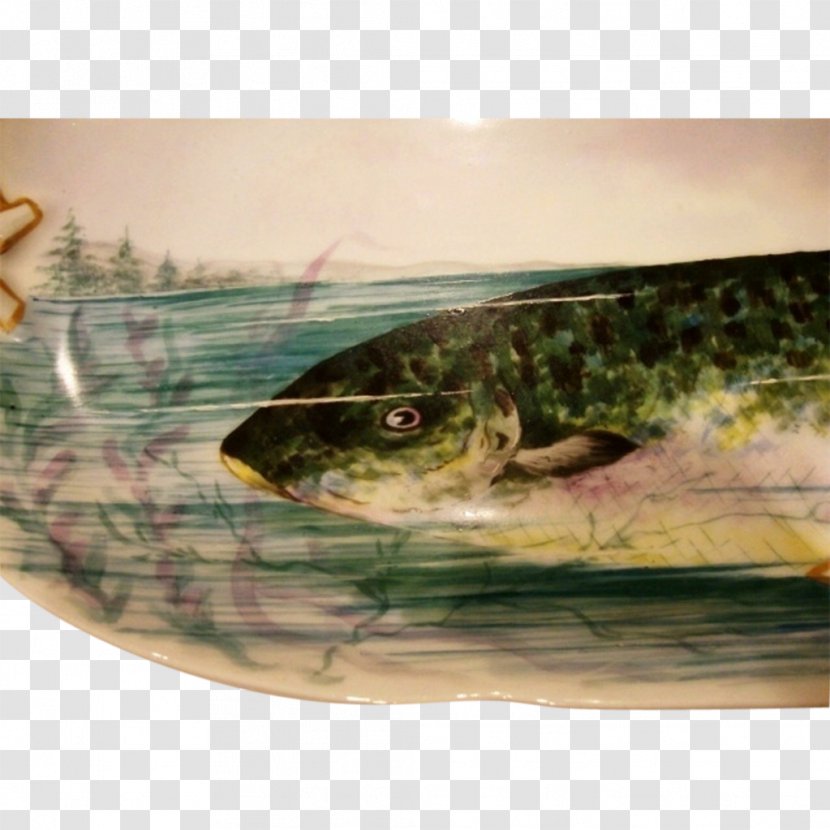 Reptile Catfish Sardine Fauna - Hand-painted Fish Transparent PNG