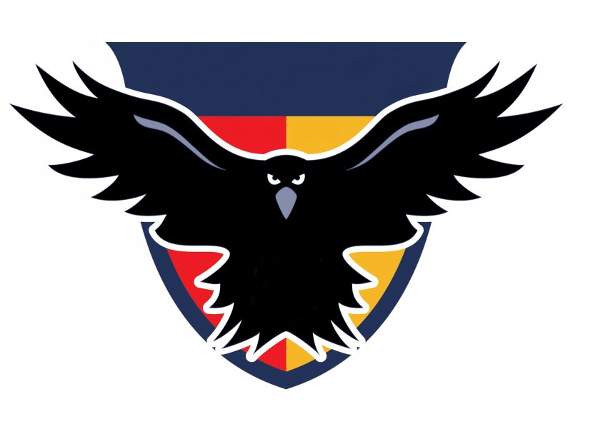 Austin Crows Dallas Magpies Houston Lonestars Australian Football League - Symbol - Crow Transparent PNG