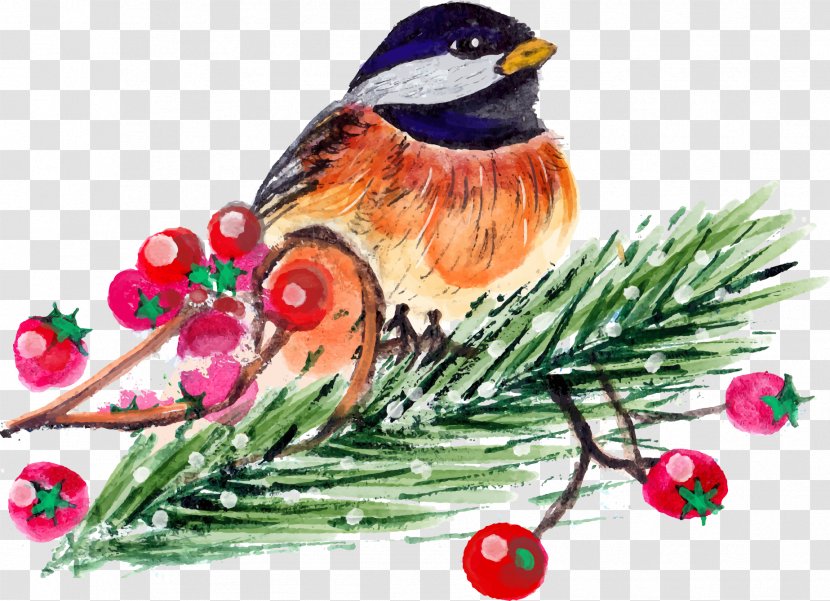 Christmas Bird Count - Ornament - Painting Transparent PNG