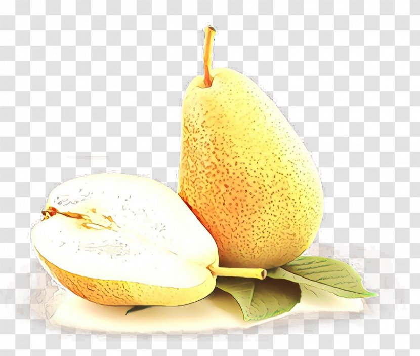 Tree Of Life - Asian Pear - Accessory Fruit Muskmelon Transparent PNG