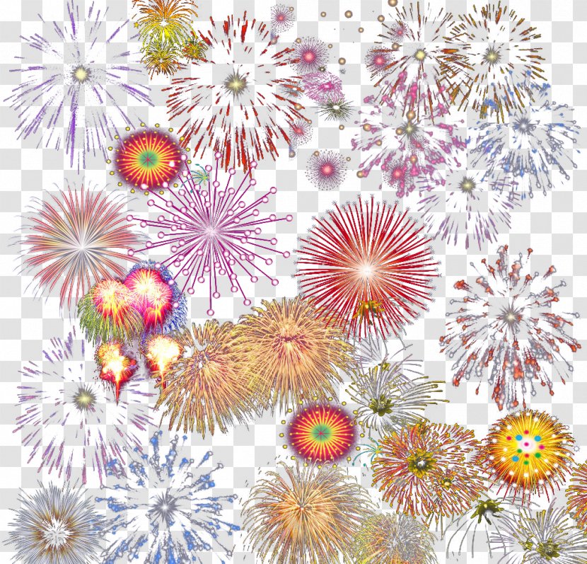 Fireworks Download - Color - Gorgeous Transparent PNG