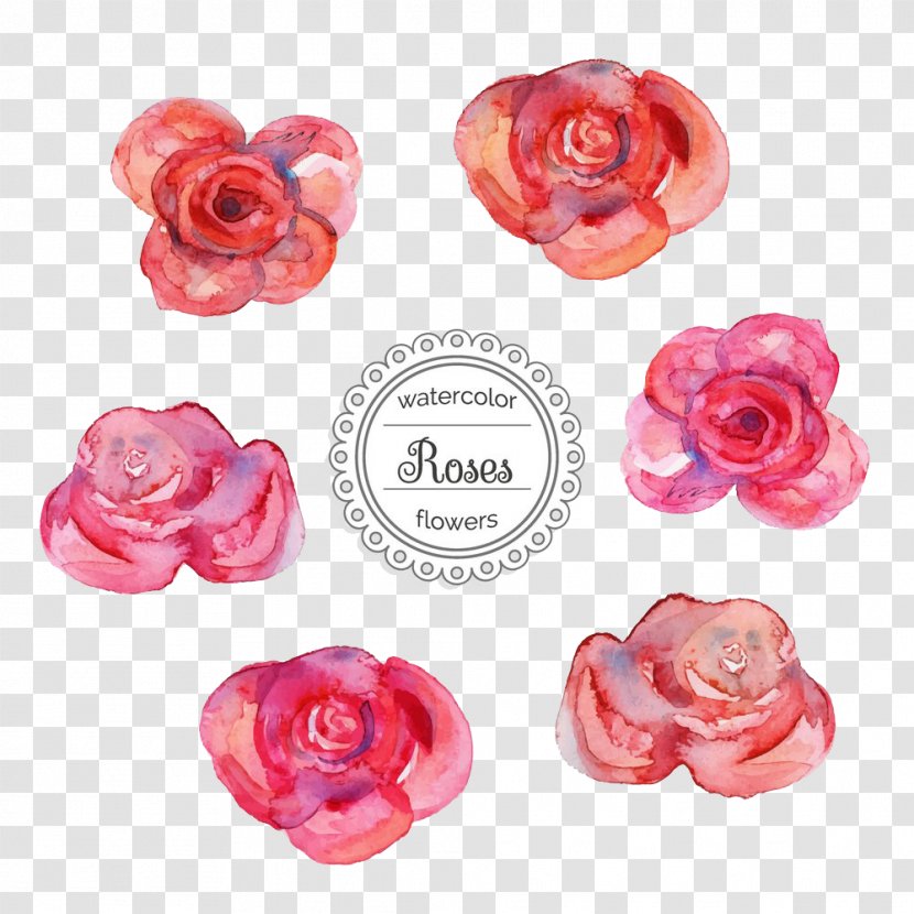 Watercolor Painting Illustration - Pink - Rose Picture Transparent PNG