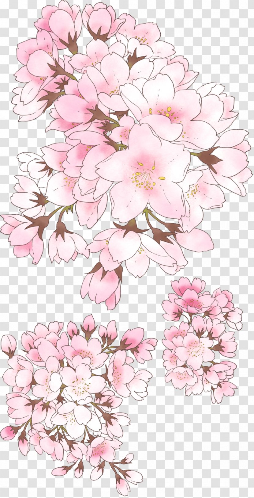 National Cherry Blossom Festival Drawing - Petal Transparent PNG