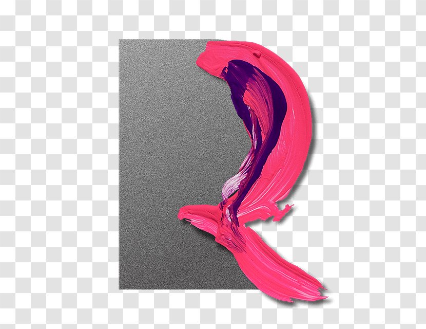 Beak Feather - Pink Transparent PNG