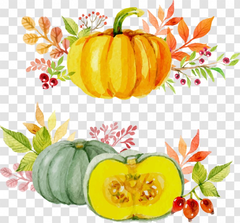 Paper Thanksgiving Watercolor Painting Autumn Pumpkin - Vector Painted Transparent PNG