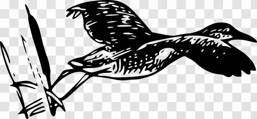 Bird Line Drawing - Beak - Fish Coloring Book Transparent PNG