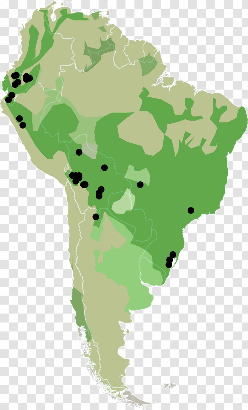 Latin America South United States Map - Tree Transparent PNG