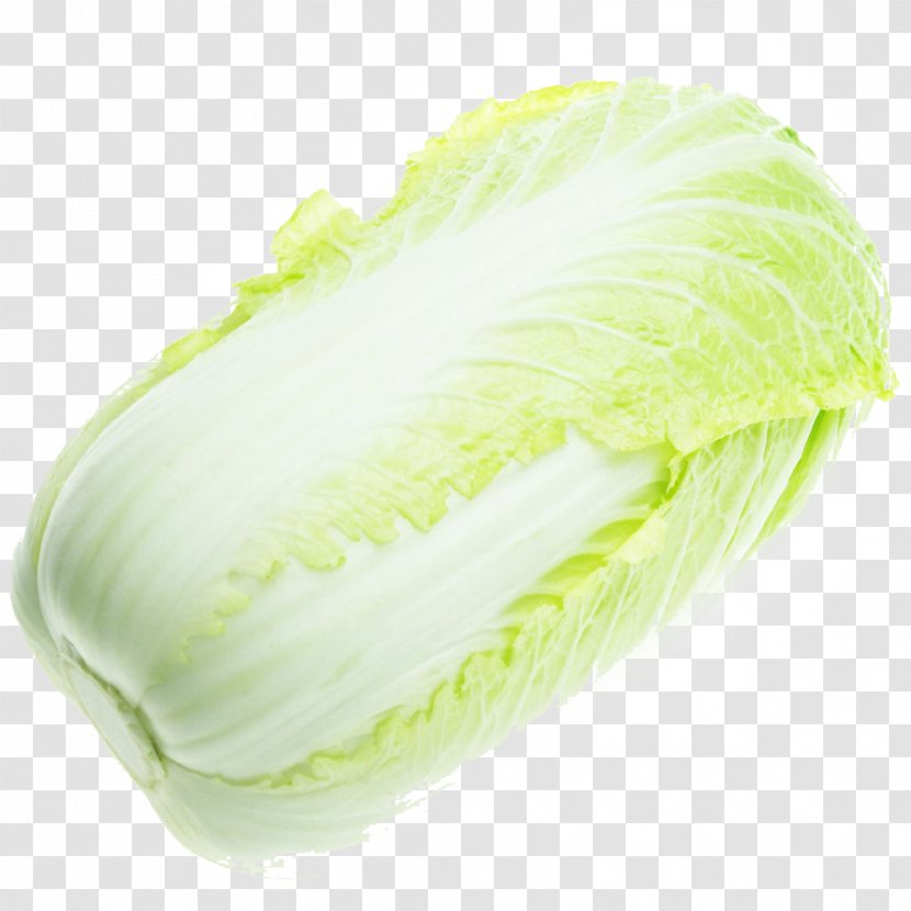Leaf Vegetable Savoy Cabbage Jiaozi Transparent PNG