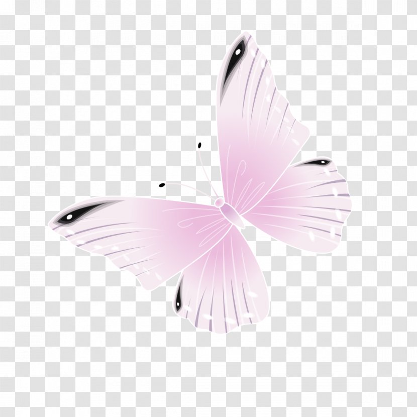 Butterfly Pink Wallpaper Transparent PNG