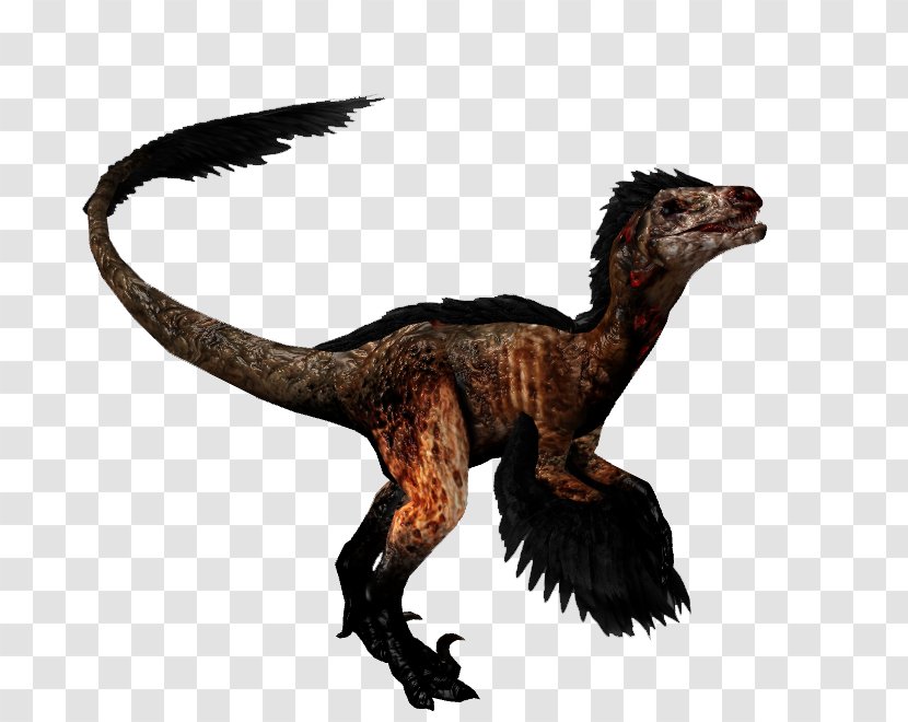 Velociraptor Primal Carnage: Extinction Tyrannosaurus Feather - Video Game - Carnage Transparent PNG