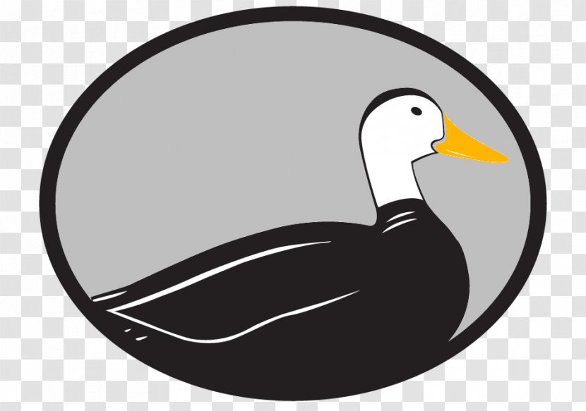 Odd Duck Media Clip Art Google My Business Company Logo - Ducks Transparent PNG