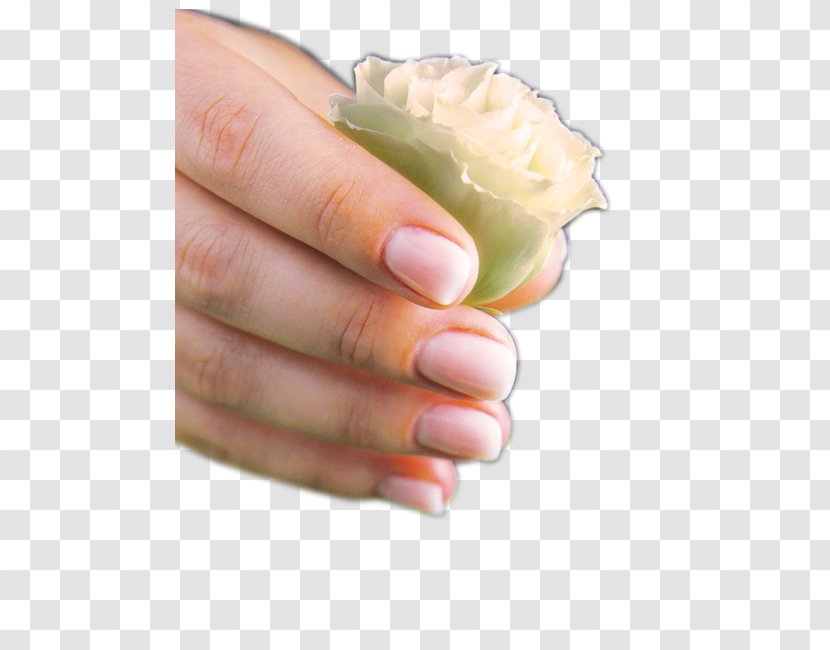 Nail Hand Model - Baby Boomers Transparent PNG