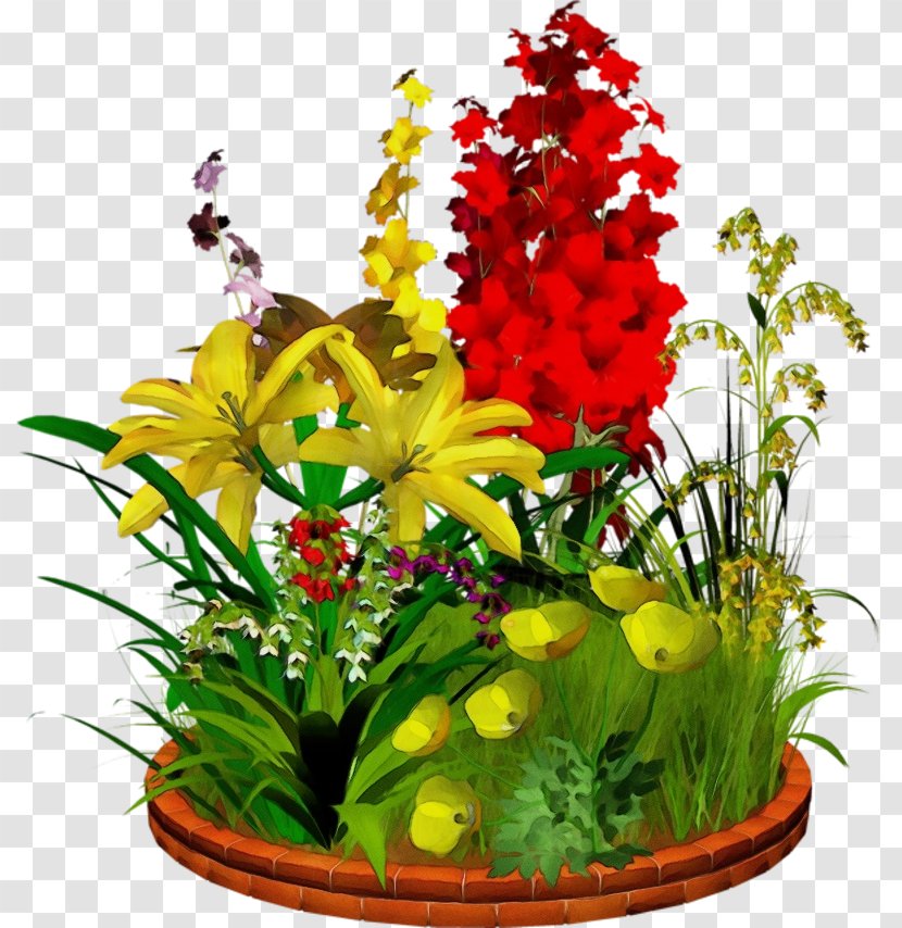 Flower Plant Flowerpot Cut Flowers Flowering - Gladiolus - Grass Aquarium Decor Transparent PNG