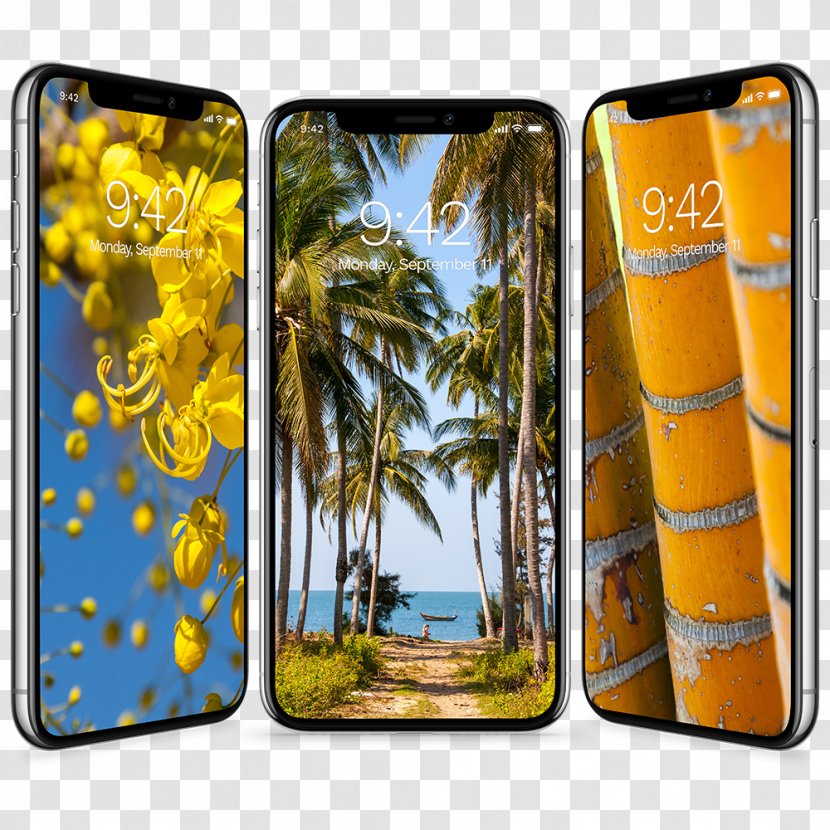 IPhone X 8 Desktop Wallpaper Text Messaging Mobile Phone Accessories -  Telephony - Tropical Transparent PNG