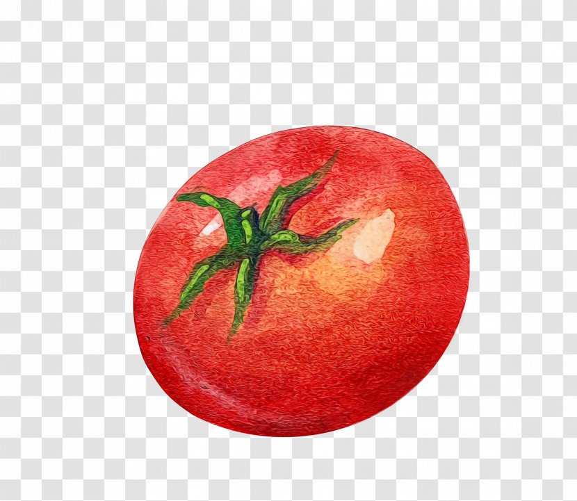 Onion Cartoon - Fruit - Nightshade Family Plant Transparent PNG