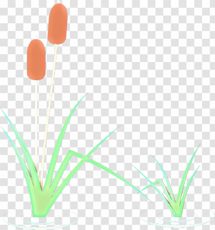 Plant Flower Grass Stem Flowerpot Transparent PNG
