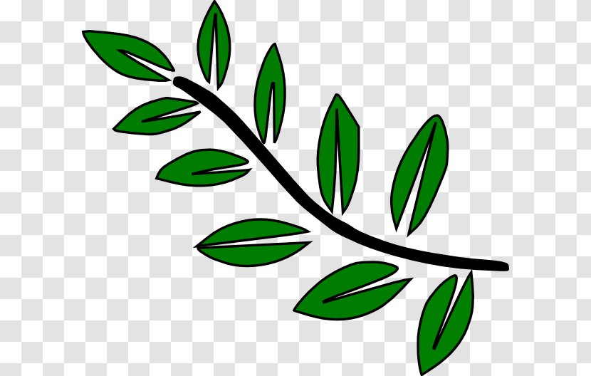 Branch Tree Drawing Clip Art - Trunk - Leaf Transparent PNG