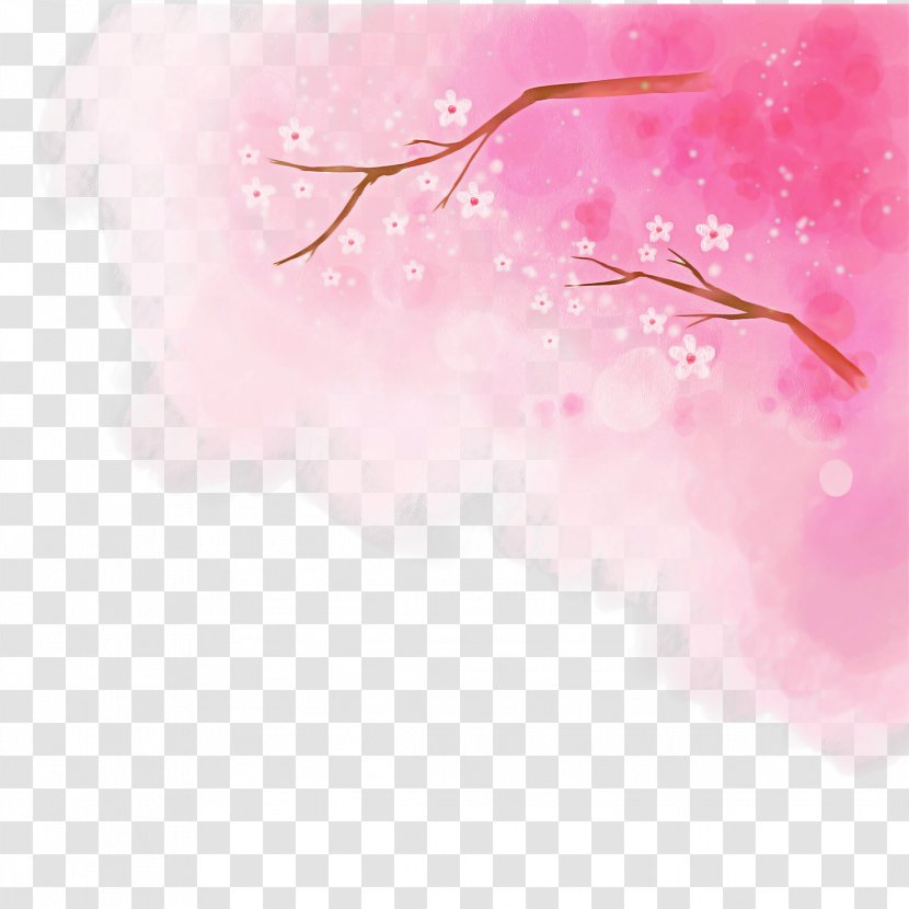 Cherry Blossom - Branch Transparent PNG