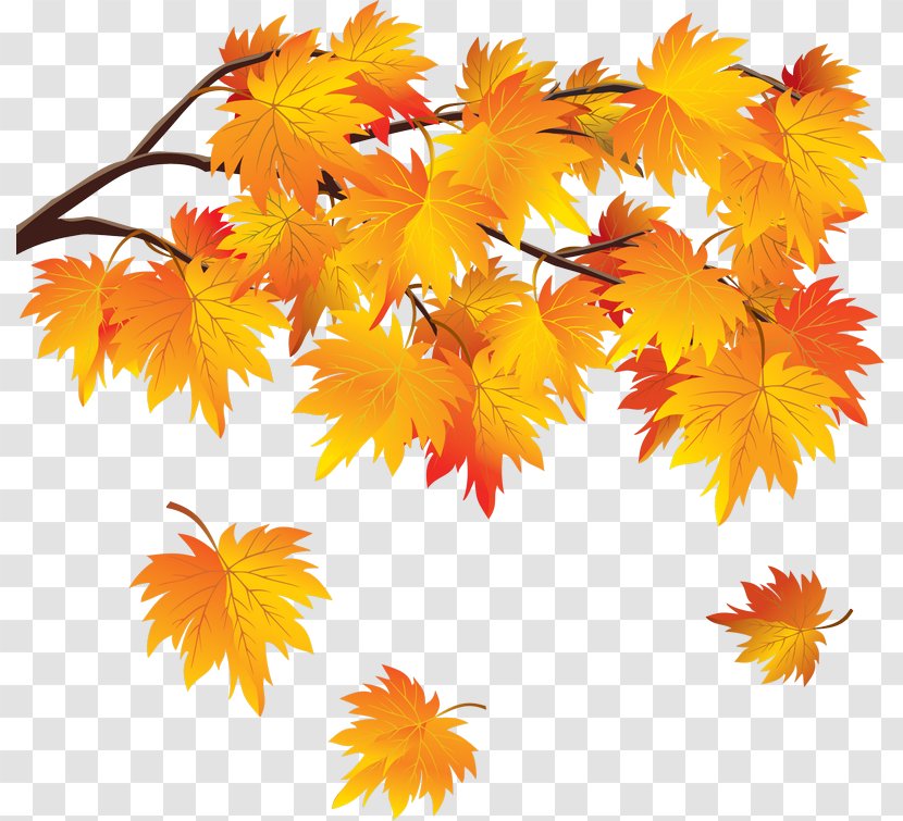 Desktop Wallpaper Autumn Leaf - Color Transparent PNG