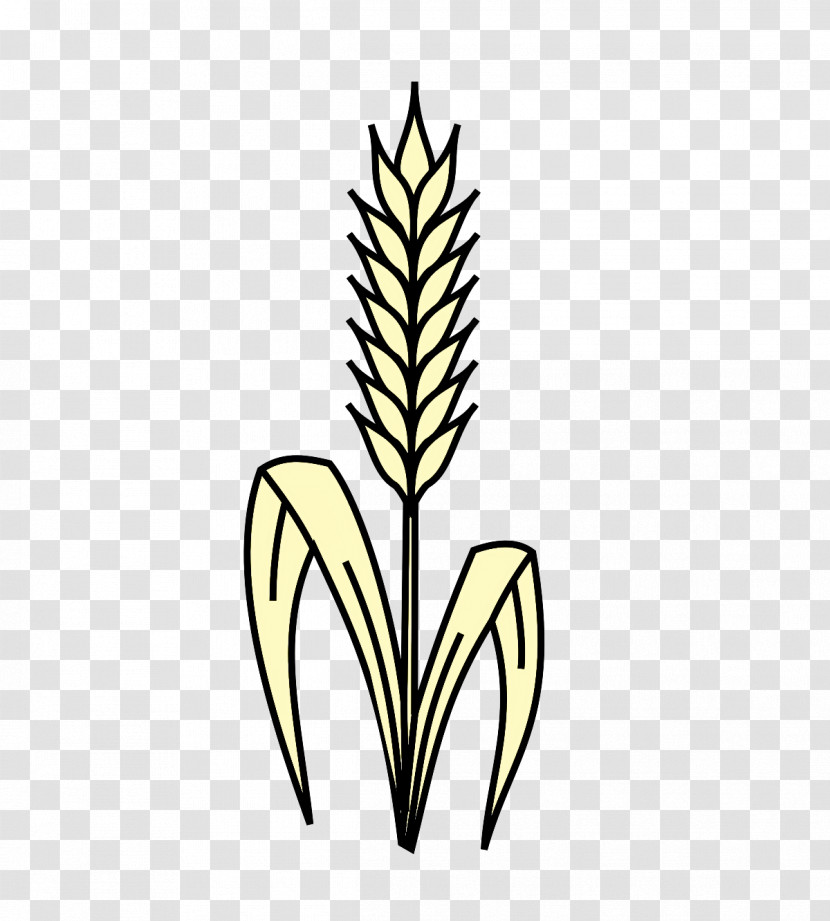 Grasses Leaf Plant Stem Flower Commodity Transparent PNG