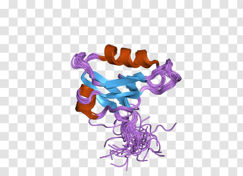 LIN7A KCNJ12 DLG1 LIN7B LIN7C - Protein - Gene Transparent PNG