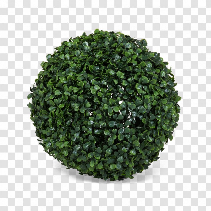 EPDM Rubber Natural Common Ivy Synthetic Hedge - Grass - Trifolium Transparent PNG