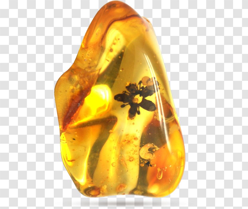 Baltic Amber Bracelet Crystal Healing Necklace - Jewellery - Charms Pendants Transparent PNG