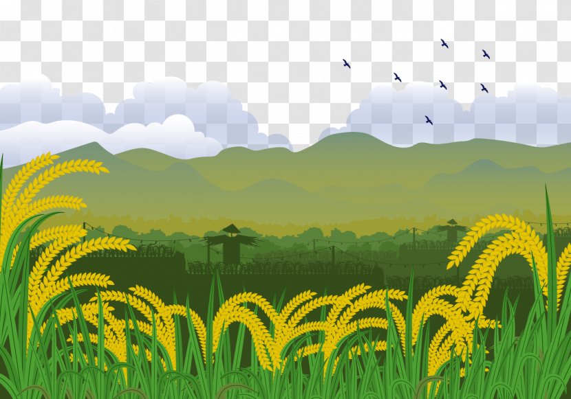Euclidean Vector Illustration - Commodity - A Scarecrow In Paddy Field Transparent PNG