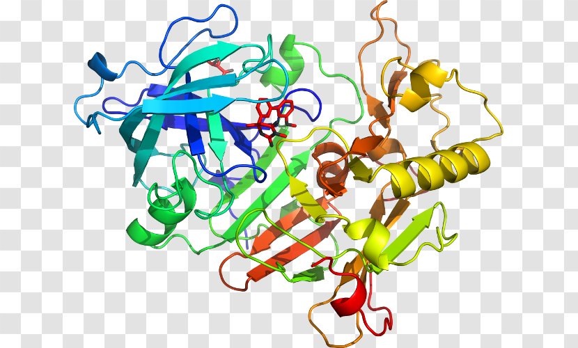 Nicotinamide N-methyltransferase Catalysis Phenylethanolamine - Flower - Biphenyl Transparent PNG