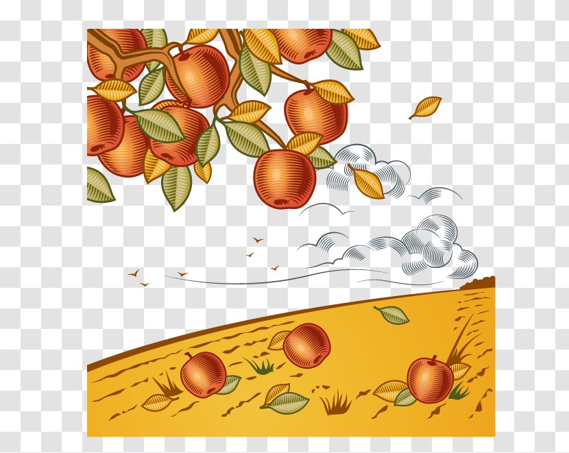 Harvest Cartoon Clip Art - Fruit - Vector Red Apple Transparent PNG
