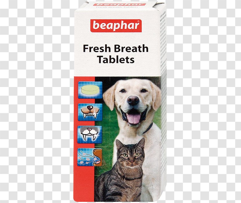 Dog Mouthwash Tablet Tooth Odor - Beaphar Transparent PNG