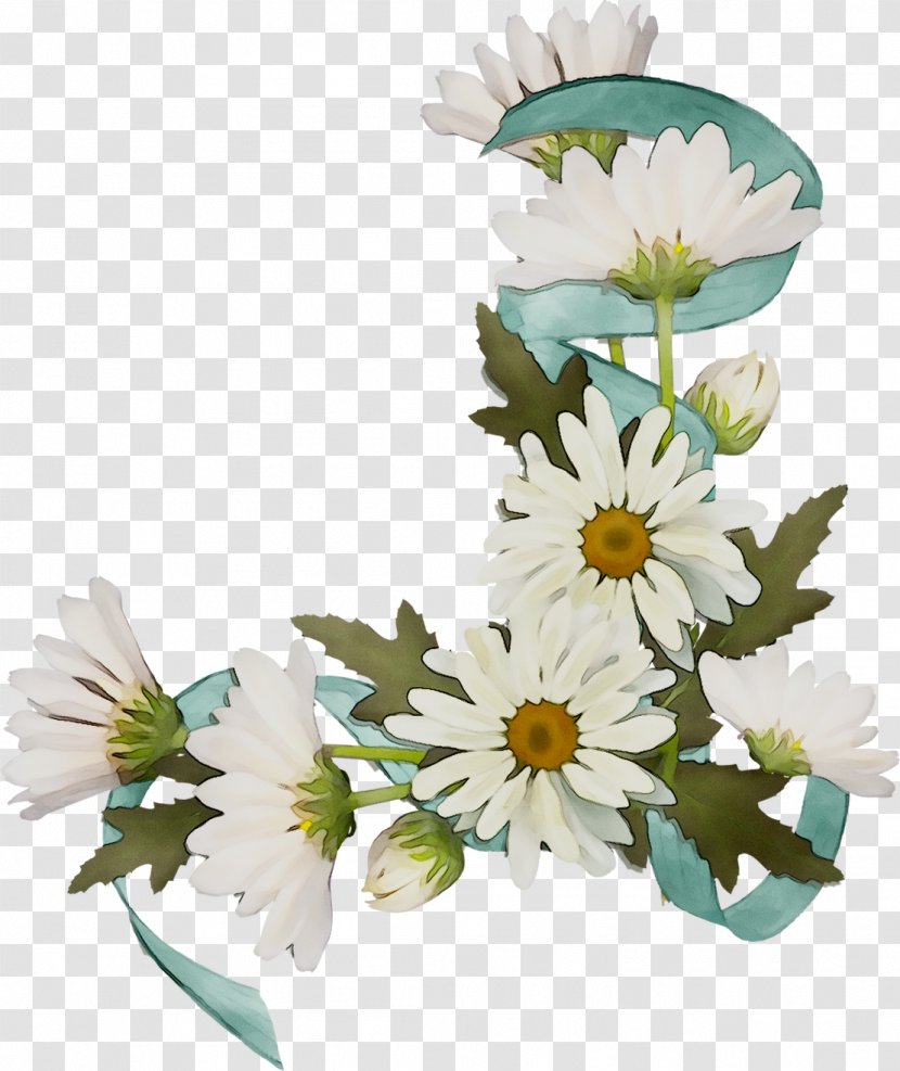 Picture Frames Photography Floral Design Cut Flowers - Flower - Gerbera Transparent PNG