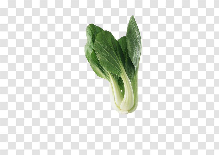 Chinese Cabbage Vegetable Bok Choy Red - Collard Greens - A Transparent PNG
