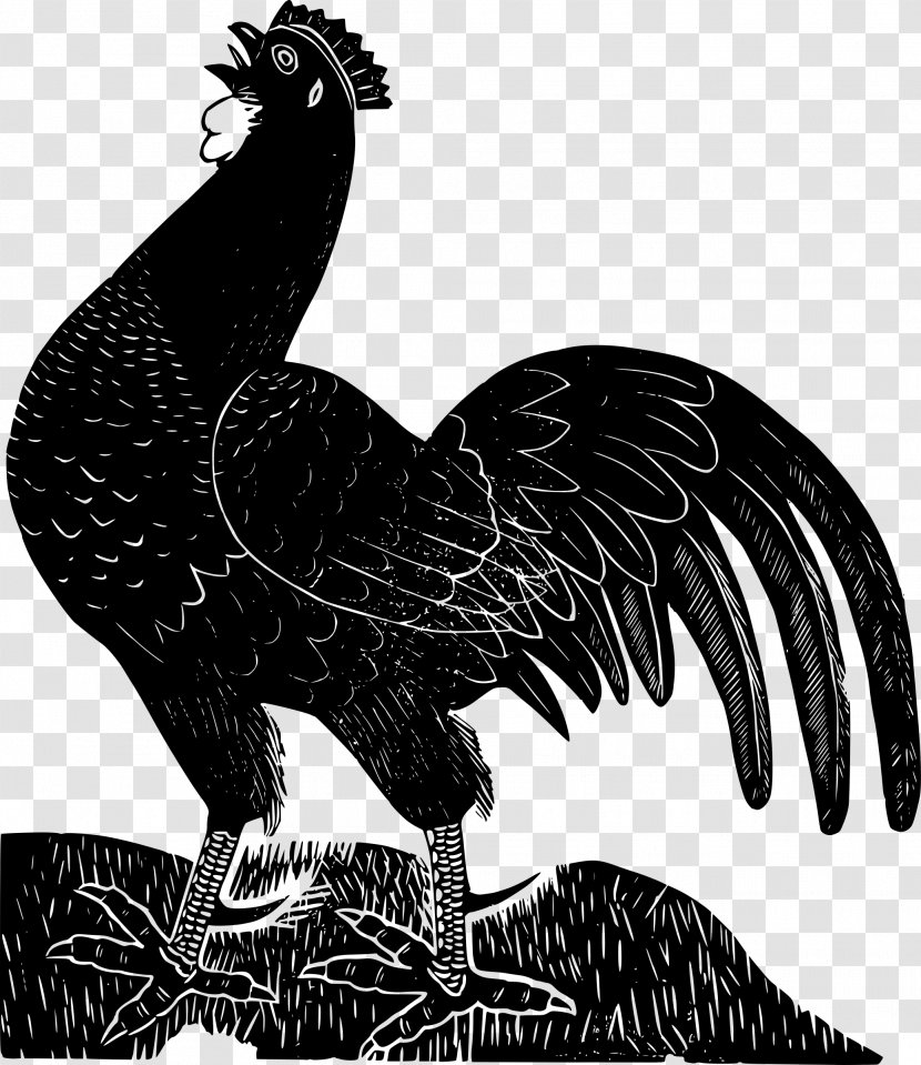 Ayam Cemani Leghorn Chicken Rooster Clip Art - Extinction - Cock Transparent PNG