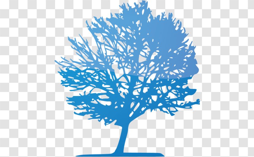 Tree Lutherse Kerk Refrigerator Magnets Art Transparent PNG