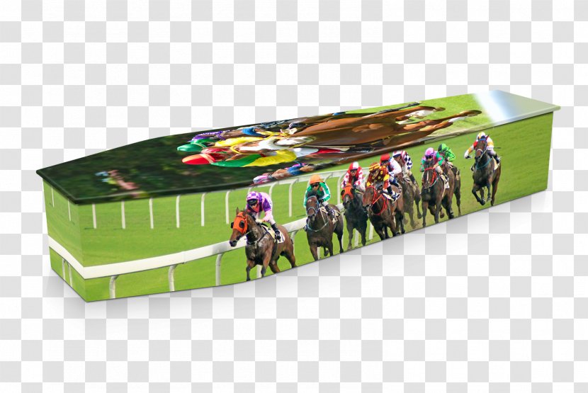 Coffin Horse Racing Funeral Home - Box Transparent PNG