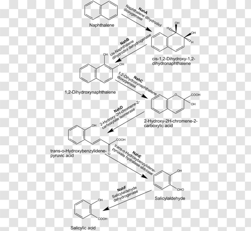 Naphthalene Polycyclic Aromatic Hydrocarbon Biodegradation - Black And White - Compound Transparent PNG