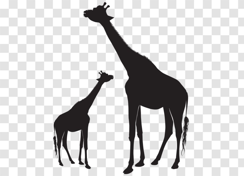 Clip Art Baby Giraffe Silhouette Image Vector Graphics - Fauna Transparent PNG