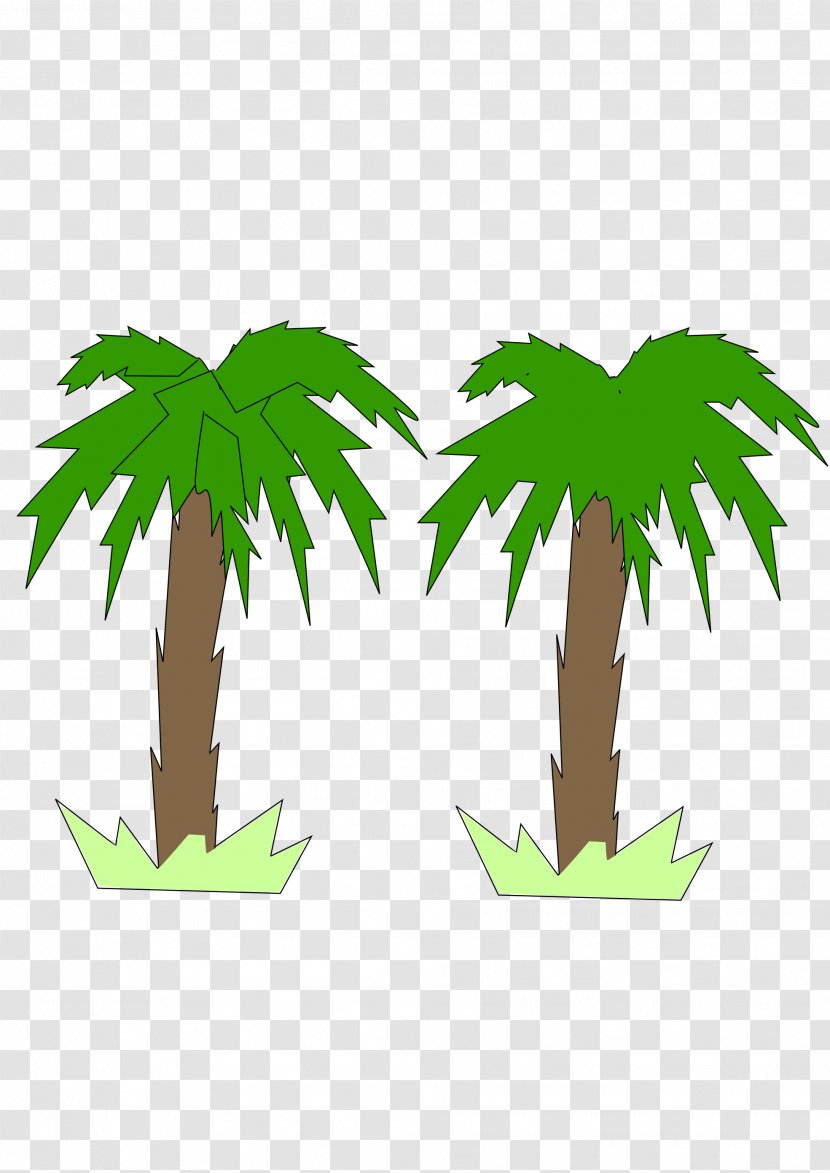 Clip Art Image - Woody Plant - Palm Tree Vector Transparent PNG