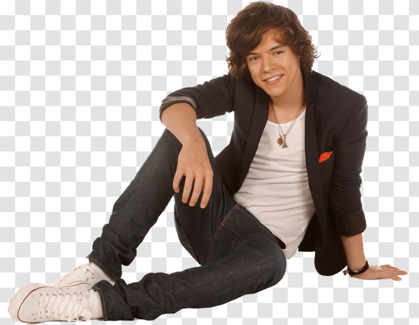 Harry Styles One Direction Holmes Chapel Love - Flower Transparent PNG
