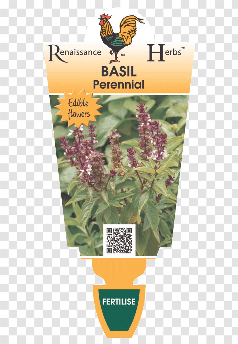 Lavender Herbalism Laser Pollinator - Sweet Basil Transparent PNG