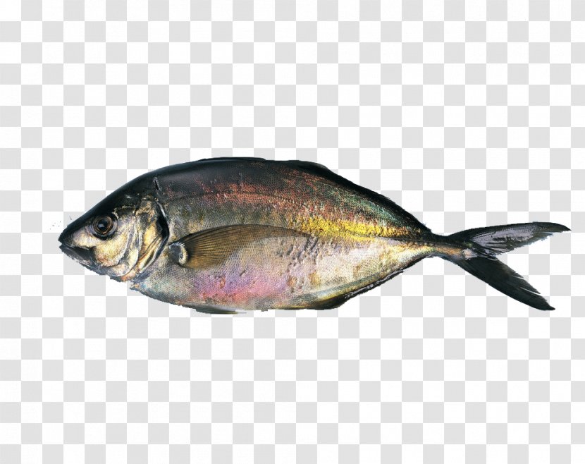 Sashimi Salted Fish Food - A Transparent PNG